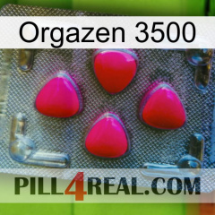 Orgazen 3500 13